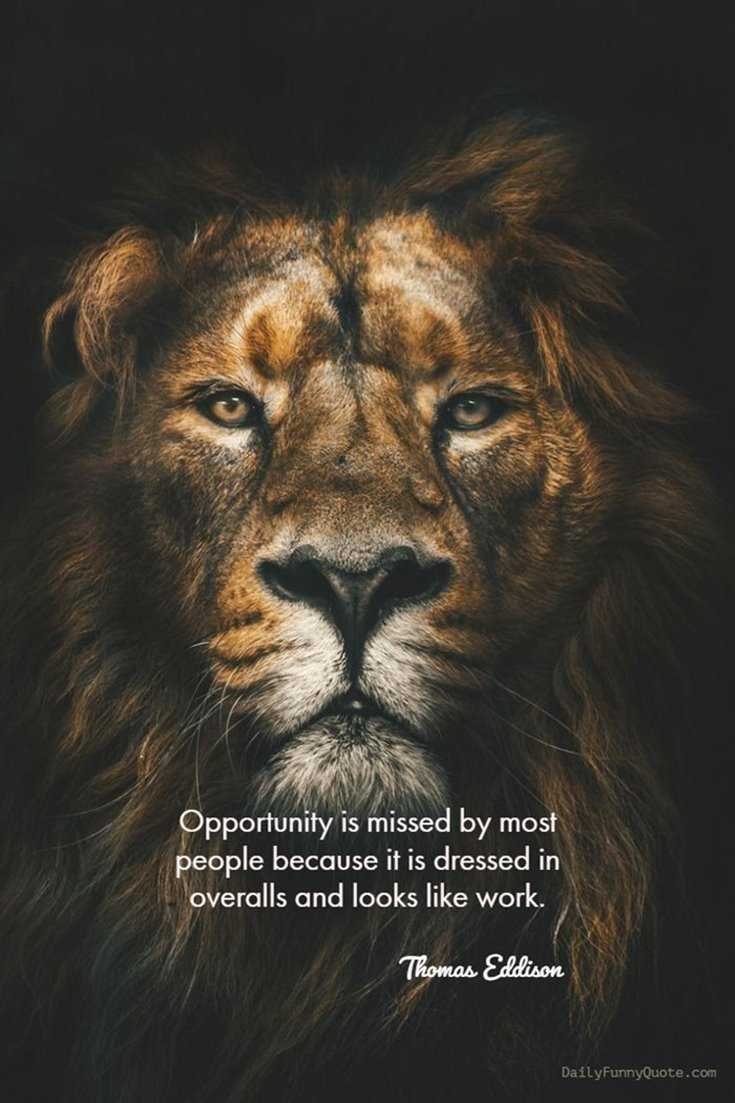 Quotes That Everything Will Be Ok: Finding Hope