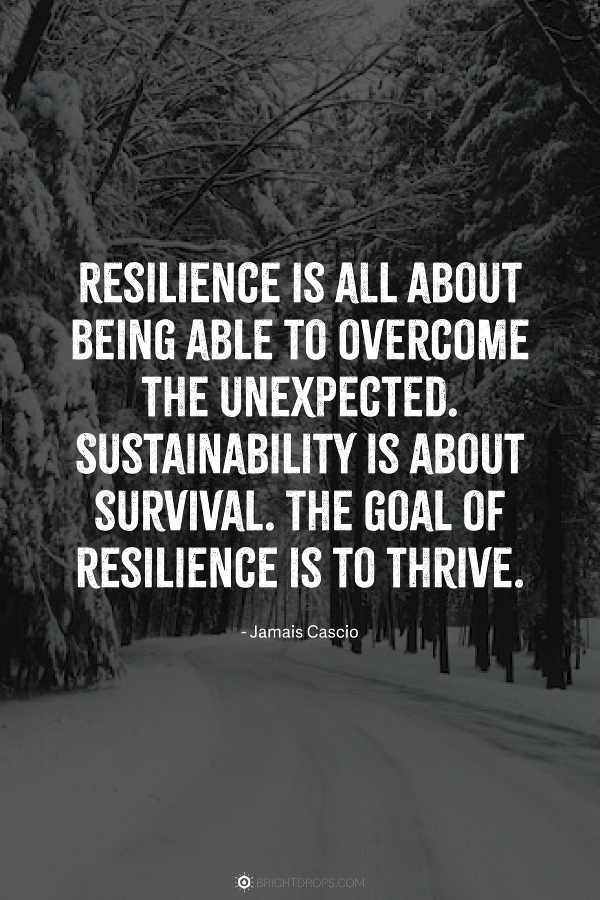 Uplifting Resilience Quotes: Find Strength To Overcome Challenges